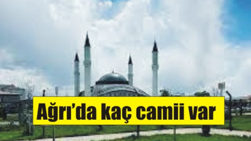 Ağrı'da Kaç camii var