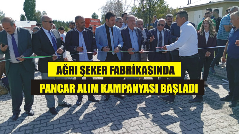 ŞEKER FABRİKASINDA KAMPANYA SEVİNCİ