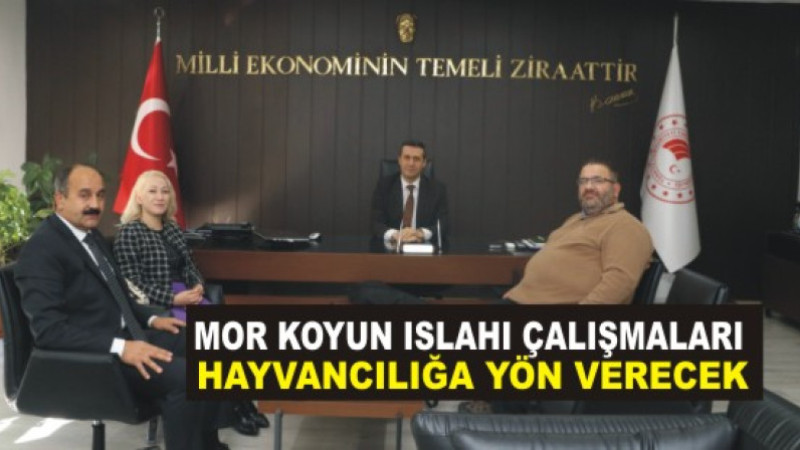 Ağrı’da Küçükbaş Hayvancılığa Yön Veren Toplantı: Mor Karaman Irkı Islah Projesi Masaya Yatırıldı