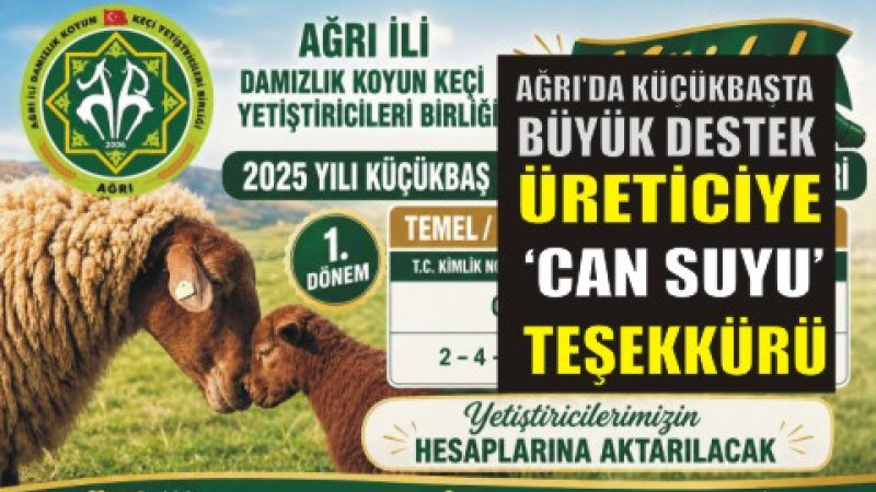 Ağrı’da Küçükbaşta Büyük Destek: Üreticiye “Can Suyu” Teşekkürü
