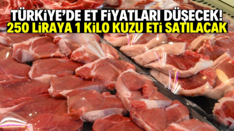 250 liraya 1 kilo kuzu eti satışı başlıyor! Stokta 240 ton var