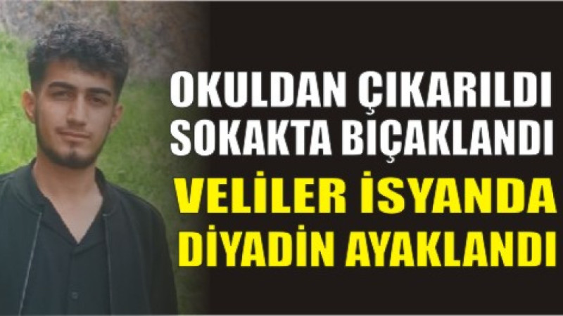 Bir Öğrenci Daha Mı Kaybedilecekti? Diyadin'de Kan Donduran 