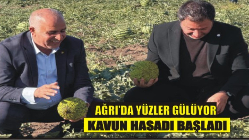 Kavun Hasadı Başladı, Üretimde Yeni Dönem